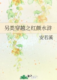 《另类穿越之红颜水浒》