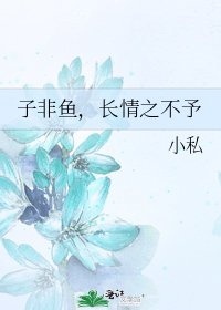《子非鱼,长情之不予》