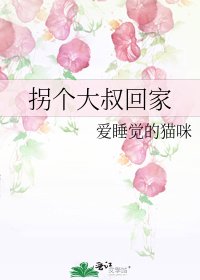 《拐个大叔回家》