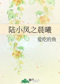 《陆小凤之晨曦》