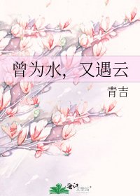 《曾为水,又遇云》