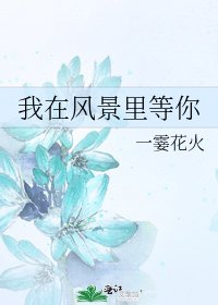 《我在风景里等你》