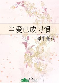 《当爱已成习惯》