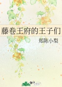 《藤卷王府的王子们》