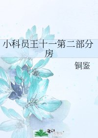《小科员王十一第二部分房》
