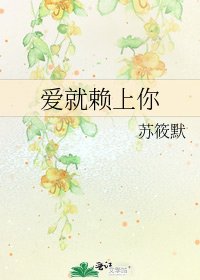 《爱就赖上你》