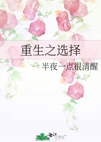 《重生之选择》