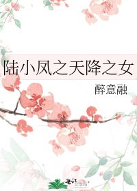 《陆小凤之天降之女》