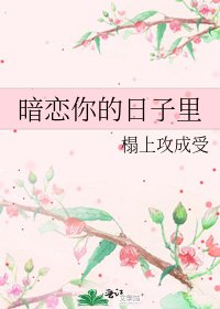 暗恋你的日子里