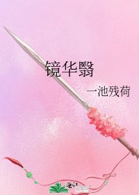 《镜华翳》