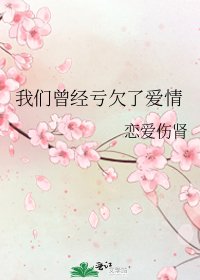 《我们曾经亏欠了爱情》
