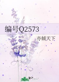 编号Q2573