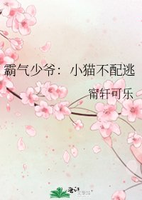 《霸气少爷:小猫不配逃》