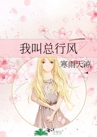 《我叫总行风》