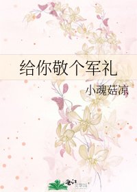 《给你敬个军礼》