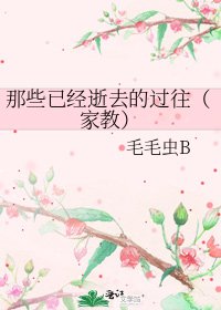 《那些已经逝去的过往(家教)》