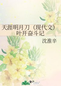 《天涯明月刀(现代文)叶开奋斗记》