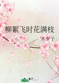 《柳絮飞时花满枝》