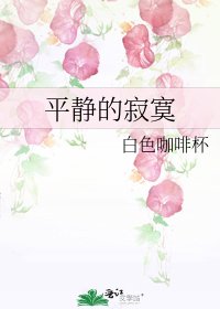 《平静的寂寞》