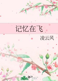 《记忆在飞》
