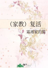 《(家教)复活》