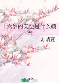 《十六岁的天空是什么颜色》