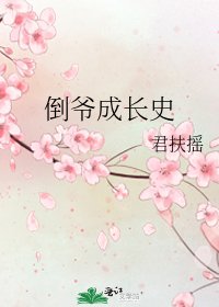 《倒爷成长史》