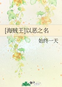 [海贼王]以恶之名