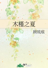 《木槿之夏》