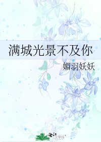 《满城光景不及你》