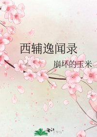 《西辅逸闻录》