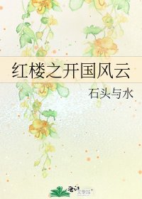 《红楼之开国风云》