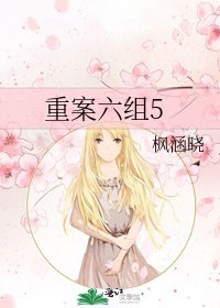 《重案六组5》