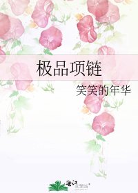 《极品项链》