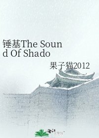 《锤基The Sound Of Shadow阴影之声》