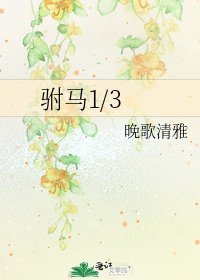 《驸马1/3》