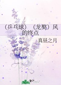 《(乒乓球)(龙獒)风的终点》