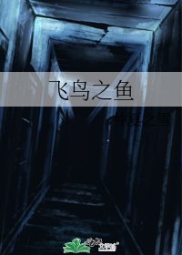 《飞鸟之鱼》