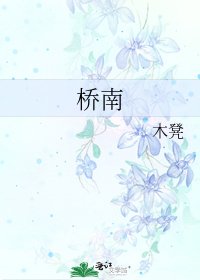 《桥南》