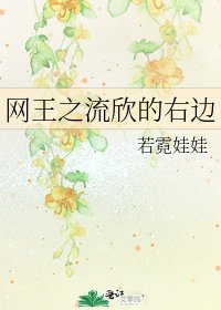 《网王之流欣的右边》