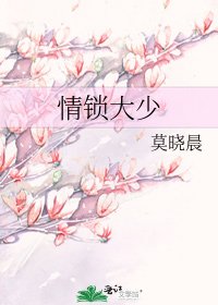 情锁大少