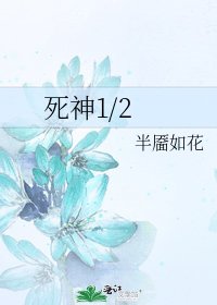 死神1/2