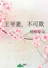 《王爷妻,不可欺》