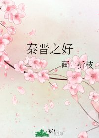 《秦晋之好》