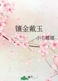 《镶金戴玉》