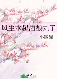 《风生水起酒酿丸子》