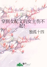 《穿到女配文的女主伤不起!》