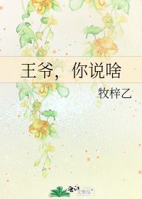《王爷,你说啥》