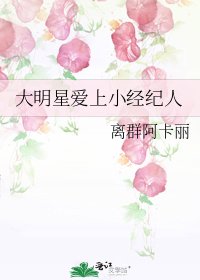 《大明星矮上小经纪人》