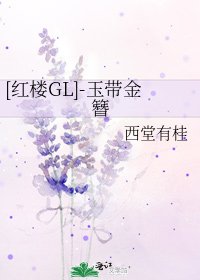 [红楼GL]-玉带金簪